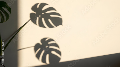 Stunning natural sunlight casts dramatic monstera leaf shadows across a warm cream wall for modern decor