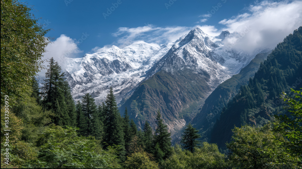 Fototapeta premium Majestic snow covered mountain peaks rise above lush green trees under a blue sky with scattered clouds in a serene and breathtaking natural landscape view.