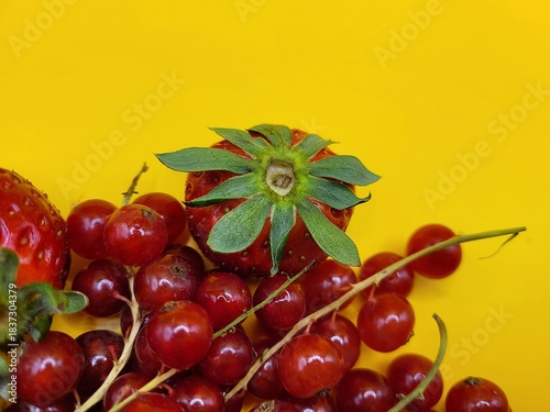 One strawberry and bunch of red currant