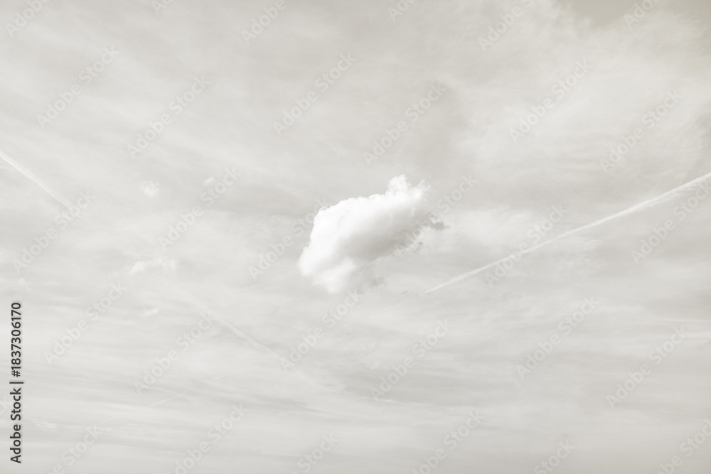 image to crop