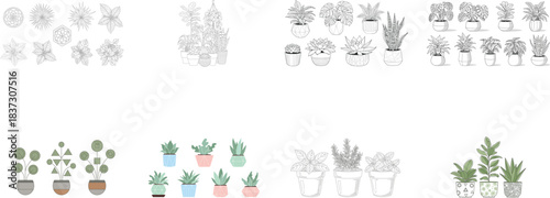 Decorative botanical elements and potted plants succulents