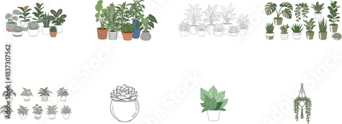 Diverse Group of Potted Houseplants in Artistic Line Drawing