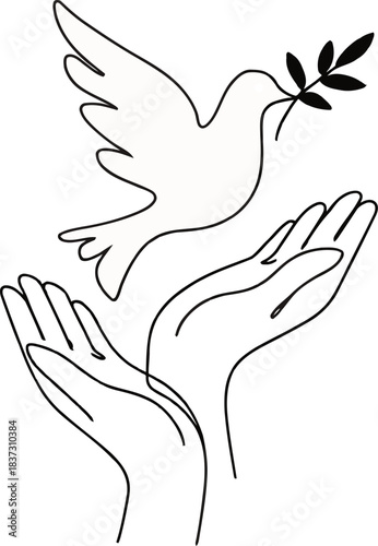 Hands releasing a dove with an olive branch symbolizing peace and harmony in a serene environment from a gentle viewpoint