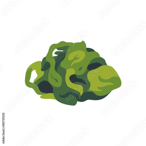 Green seaweed marine algae edible plant, isolated flat style vector illustration