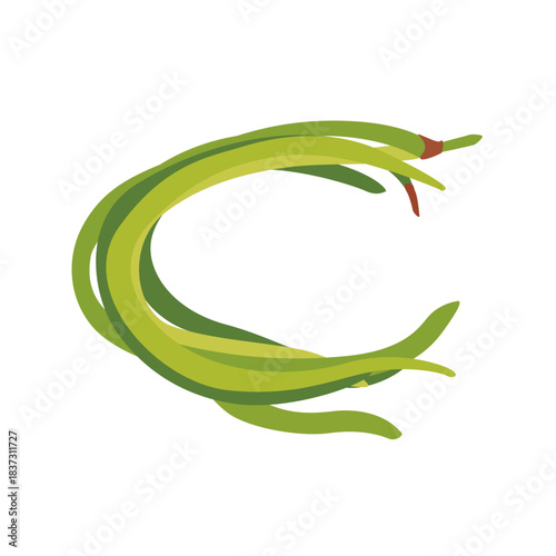 Fresh green yardlong bean pod vegetable, isolated flat style vector illustration