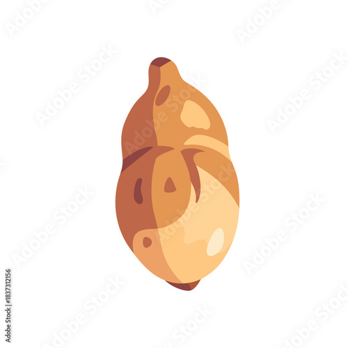 Fresh Jerusalem artichoke sunchoke root vegetable, isolated flat style vector illustration