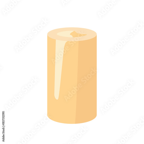 Fresh hearts of palm white vegetable, isolated flat style vector illustration