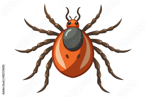 High-quality illustration of a tick insect with realistic detail and color. This vector graphic shows the tick’s body structure, legs, and texture, perfect for educational, scientific, and medical pur