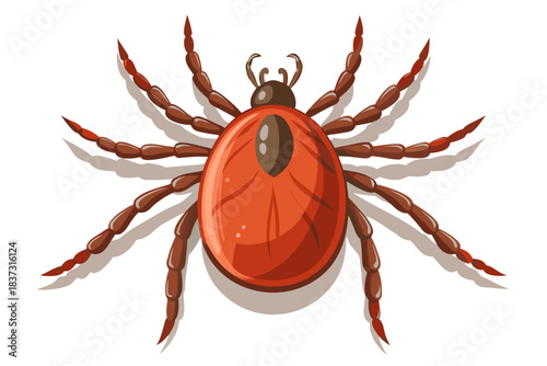 High-quality illustration of a tick insect with realistic detail and color. This vector graphic shows the tick’s body structure, legs, and texture, perfect for educational, scientific, and medical pur