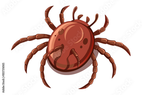High-quality illustration of a tick insect with realistic detail and color. This vector graphic shows the tick’s body structure, legs, and texture, perfect for educational, scientific, and medical pur