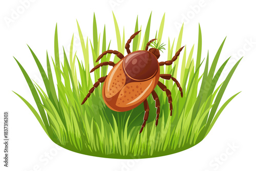 High-quality illustration of a tick insect with realistic detail and color. This vector graphic shows the tick’s body structure, legs, and texture, perfect for educational, scientific, and medical pur