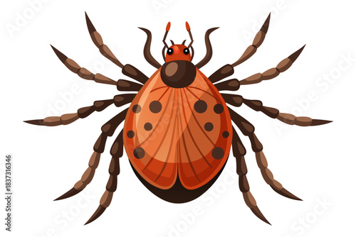 High-quality illustration of a tick insect with realistic detail and color. This vector graphic shows the tick’s body structure, legs, and texture, perfect for educational, scientific, and medical pur