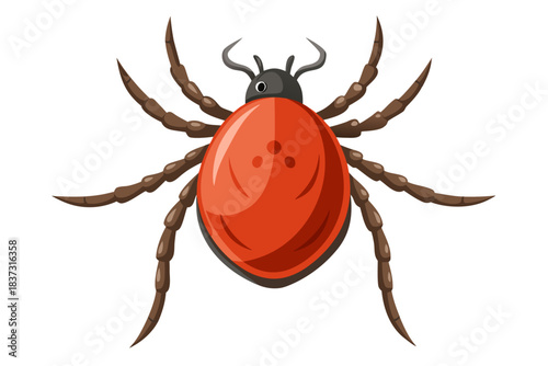 High-quality illustration of a tick insect with realistic detail and color. This vector graphic shows the tick’s body structure, legs, and texture, perfect for educational, scientific, and medical pur