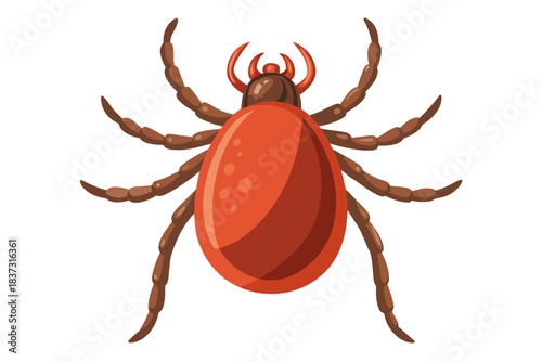 High-quality illustration of a tick insect with realistic detail and color. This vector graphic shows the tick’s body structure, legs, and texture, perfect for educational, scientific, and medical pur