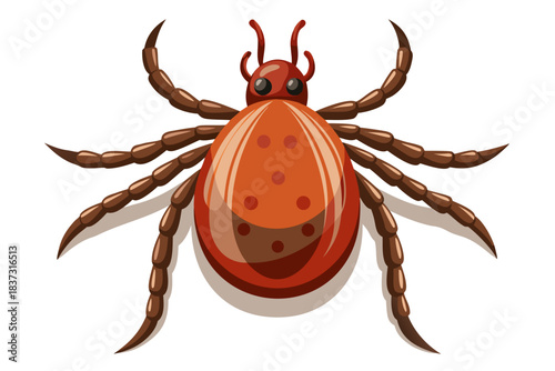 High-quality illustration of a tick insect with realistic detail and color. This vector graphic shows the tick’s body structure, legs, and texture, perfect for educational, scientific, and medical pur