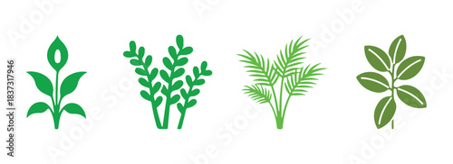 A vibrant collection of indoor plant glyph icons displayed on a white background. Houseplants. Ornamental plants kept at home. Peace lily, zz plant. Parlor palm, ficus. Silhouette symbols. Vector