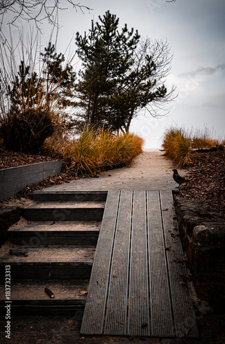 Fototapeta Naklejka Na Ścianę i Meble -  Cloudy autumn morning on the shore of the Baltic Sea