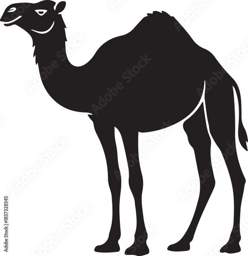 Camel vector silhouette, camel silhouette vector illustration on white background