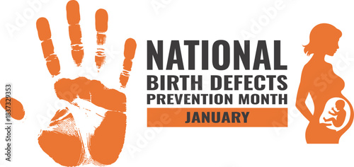 National Birth Defects Prevention Month January Awareness Campaign Vector Graphic Banner Showing Pregnant Woman Fetus Handprint Stop Sign Symbol