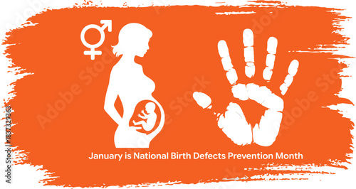 National Birth Defects Prevention Month January Awareness Campaign Vector Graphic Banner Showing Pregnant Woman Fetus Handprint Stop Sign Symbol