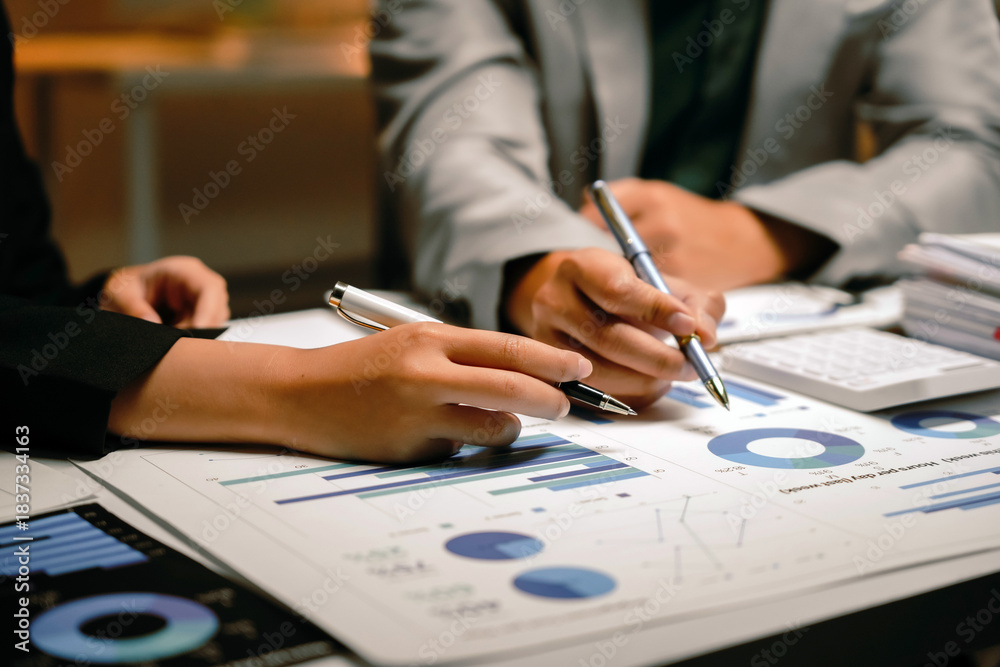 custom made wallpaper toronto digitalTwo business professionals collaborating, reviewing financial market data, charts, and reports for strategic planning and analysis