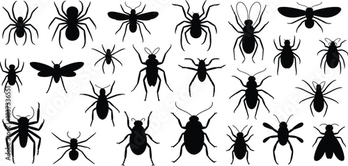 Diverse Insect and Arachnid Silhouettes Including Spiders, Beetles, Flies, and Ants for Entomology, Education, and Design Projects