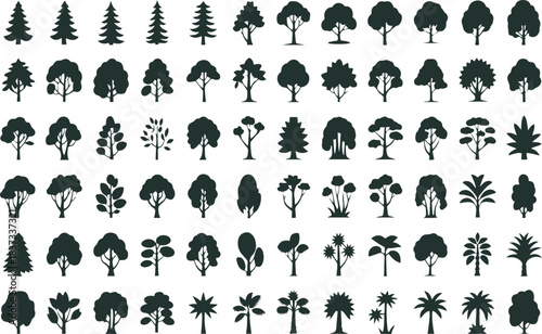 Silhouette Tree Set — Solid Shapes in Side & Front View, Graphics Elements for Architecture and Landscape Design — Tropical, Oak, Pine Variants — Vector Illustration