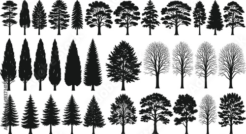 Tree silhouette, forest icon, botanical shape, foliage pattern, coniferous tree, deciduous outline, nature clipart, black vector, landscape element, illustration