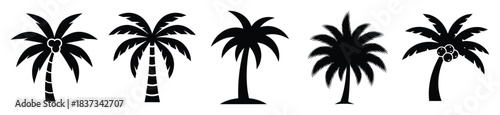 Set of coconut tree vector icon in silhouette design. summer design concepts.