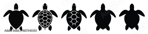 Set of sea turtle vector icon in silhouette design. summer design concepts.