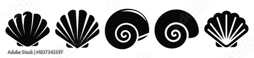 Set of seashell vector icon in silhouette design. summer design concepts.