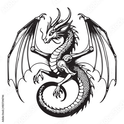 Detailed black and white illustration of a mythical dragon.