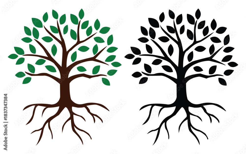 Obraz premium Vibrant green tree and silhouette tree with exposed roots
