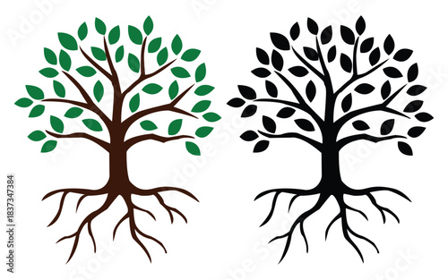 Vibrant green tree and silhouette tree with exposed roots