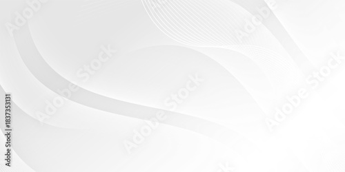 Abstract white wave vector background. Elegant dynamic waves design. Smooth and clean graphic pattern. Modern soft gradient texture. Vector Illustration