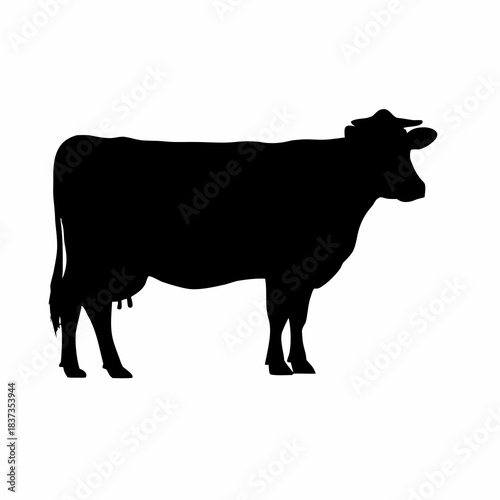 Striking black silhouette of a standing dairy cow, full body profile, with distinct udders