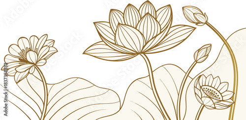 Lotus flowers line art isolated