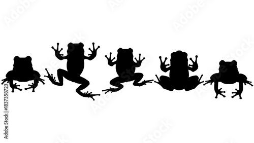 Five distinct black frog silhouettes displaying various poses against a clean for design