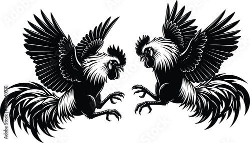 Two roosters in combat stance, aggressive posture, black silhouette, cockfight scene, dynamic feathers, traditional animal fight, bold contrast, cultural icon, vector illustration
