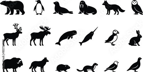 North pole and tundra creature black glyph icons. Walrus, narwhal, and snowy owl symbols with muskox vector set.
