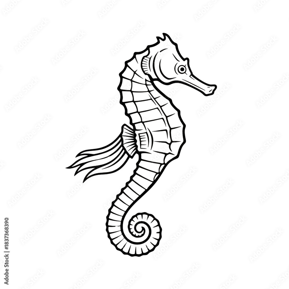 Obraz premium Detailed Sea Horse Outline Engraving: Marine Vector