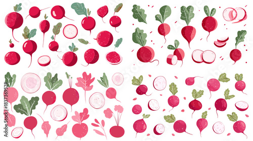 Vibrant illustration of radishes and beets in assorted shapes and colors with leaves and slices, forming a fresh botanical pattern perfect for food and garden themed designs.