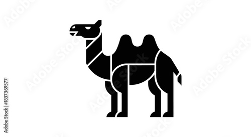 Black and white camel illustration against white background for design