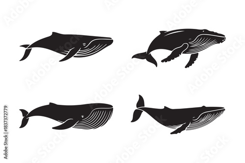 Four stylized silhouette illustrations of whales in different poses