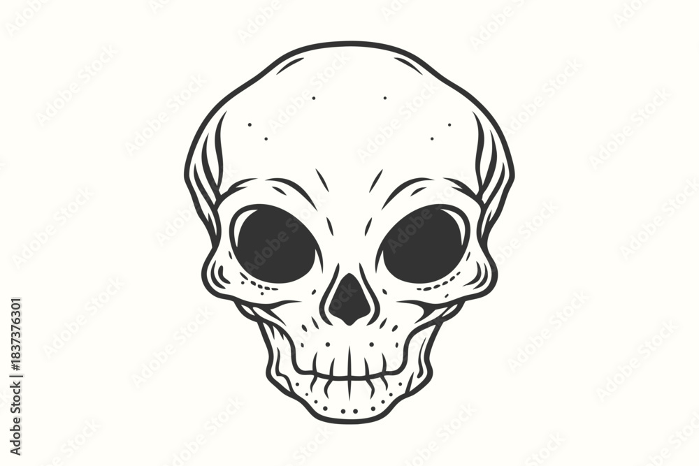 Fototapeta premium Monochrome Vintage Skull with Thick Outline and Detailed Bone Structure