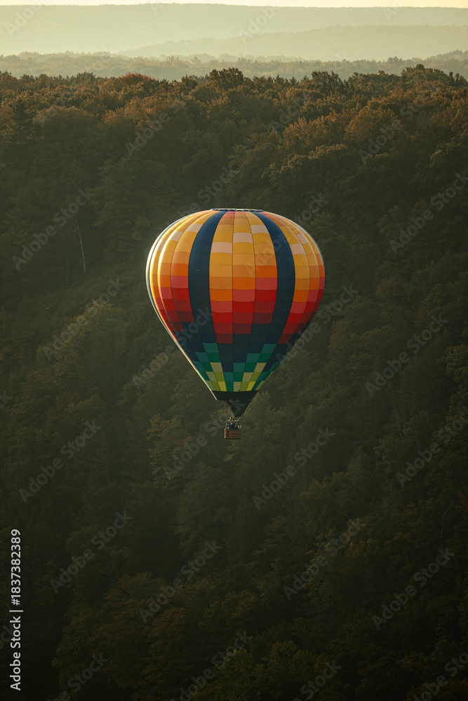 Obraz premium Balloons Over The Gorge