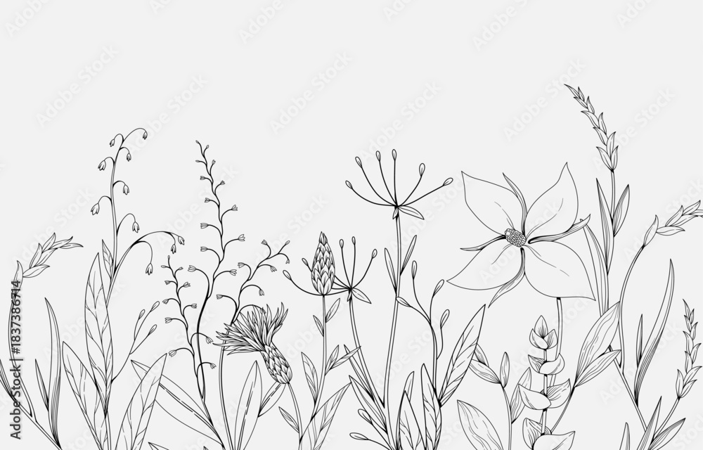 Fototapeta premium Floral bakground or wallpaper with tender flowers and leaves. Botanical foliage for wedding invitation or wall art. Vector illustration