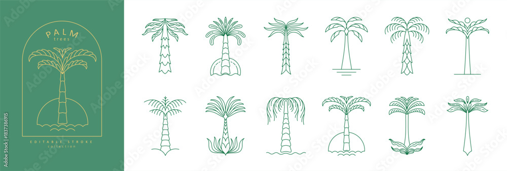 Fototapeta premium Set of simple geometric palm tree icon or logo designs. Summer tropical design elements and vacation emblems for resort, travel and beauty