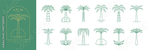Set of simple geometric palm tree icon or logo designs. Summer tropical design elements and vacation emblems for resort, travel and beauty