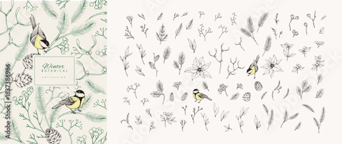 Christmas greeting illustration with winter plants, birds and traditional New year decorations. Holiday card or invitation with hand drawn botanical